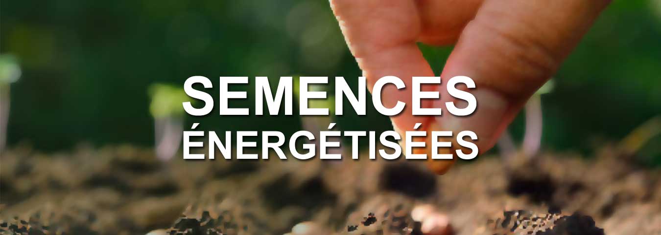 Semences Anciennes Énergétisées