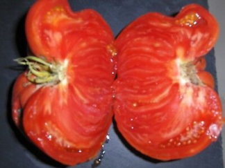 Graines de Tomate "Russe" x10